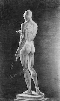 Колесов В. Экорше. Россия, 1887. Б., ит. кар. 63,8х39,5